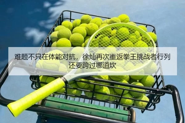 难题不只在体能对抗，徐灿再次重返拳王挑战者行列还要跨过哪道坎